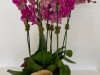 Floretta Florals LLC