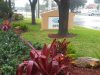 Gracepoint Church