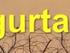 Gurtan Designs - Metal Wall Art - Metal Wall Sculpture