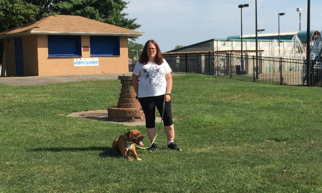 Harmony k9 training