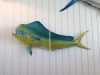 King Sailfish Mounts Inc