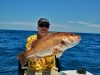 King Sailfish Mounts Inc