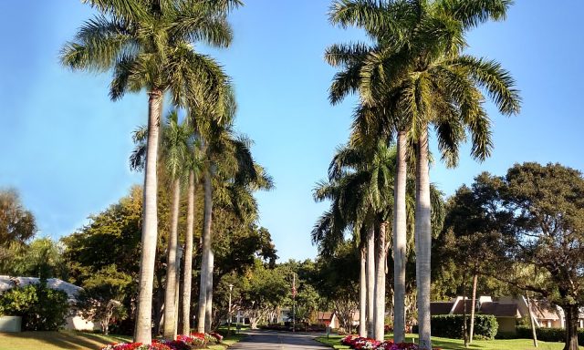 Palm Aire Country Club – Palms Course