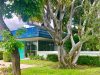 LovinSmiles Dental Group / Rosa Sanchez D.D.S