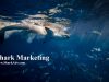 Shark Business Advisors