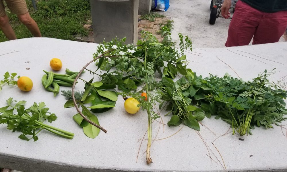 The Fruitful Field