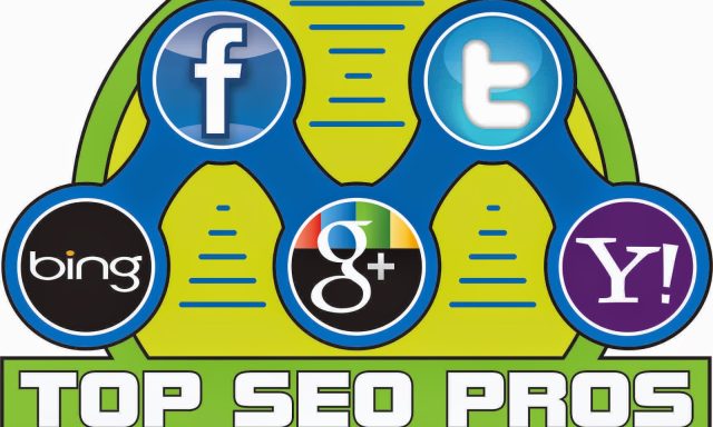 Top SEO Pros