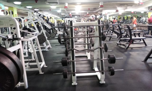 Athletic Factor Gym