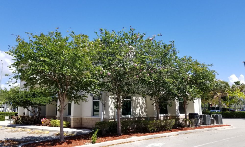 BB&T Mortgage