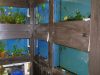 Contemporary Aquarium & Design