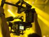 HDLF PRODUCTIONS
