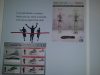 Sports Chiropractic and Natural Health Solutions - Dr. Brett Goldstein D.C.