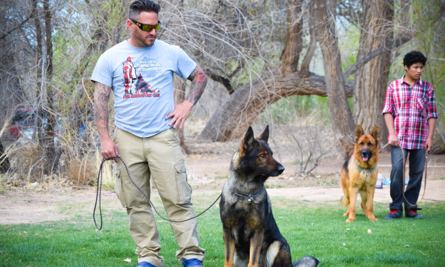 Advanced K9 Academy