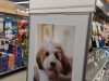 Banfield Pet Hospital