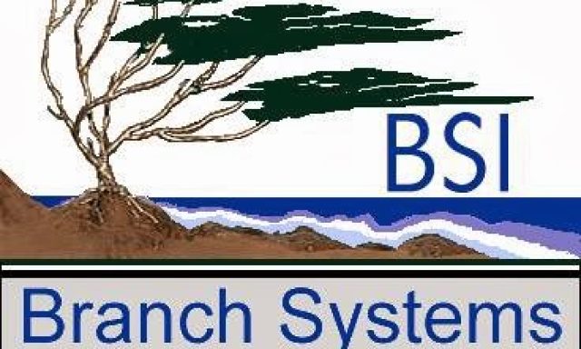 Branch Systems, Inc. (Computer Network Div.)