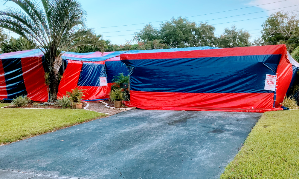 Bugs Exterminators Termite & Pest Services Inc.