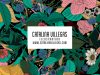 Catalina Villegas | Illustration and Graphic Design