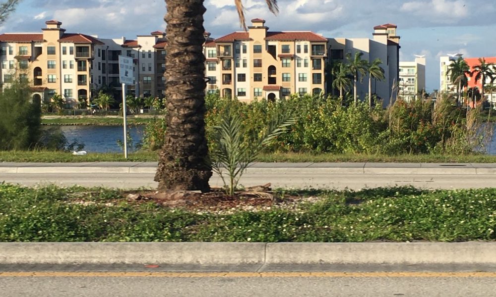Crystal Pointe Apartments