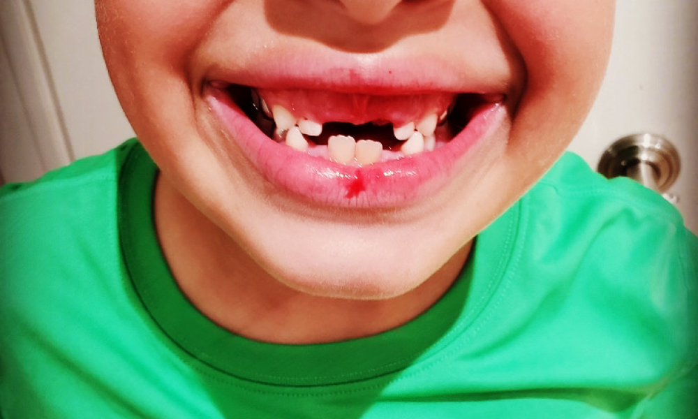 DMDental Media