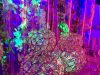 Gold events