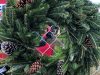 Hayes Farms Christmas Trees - Lauderdale-By-The-Sea