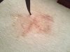 JCs Carpet Cleaning