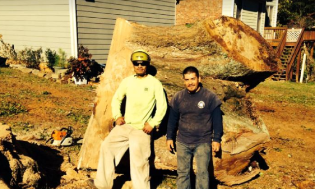 J&R Tree Removal Services