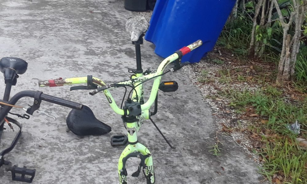 Just Bikes Mia