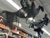 Party City