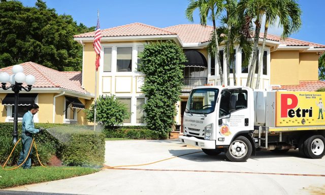 Petri Pest Control Services
