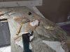 Santos Home Granite & Marble