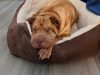 Seiler Animal Hospital