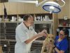 Seiler Animal Hospital