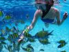 South Florida Boat Rental