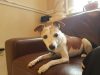 VCA Imperial Point Animal Hospital